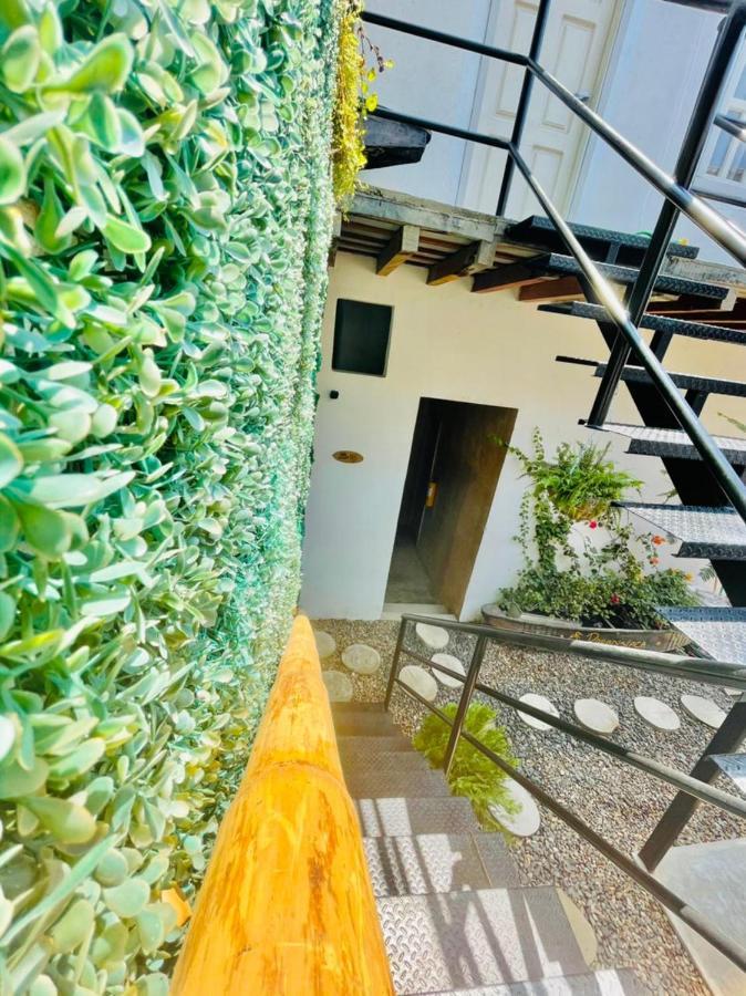 Hostel Musa Paradisiaca Santa Marta  Kültér fotó
